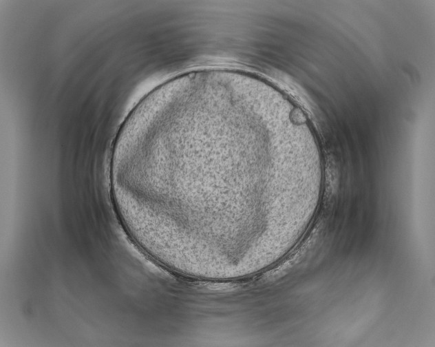 X0000110951382200907101258