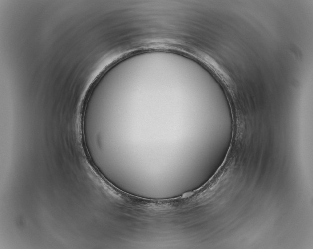 X0000110951384200907101258