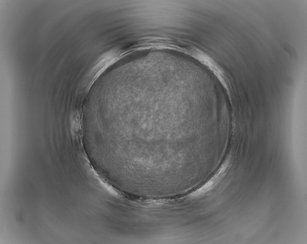 X0000110951385200907101258