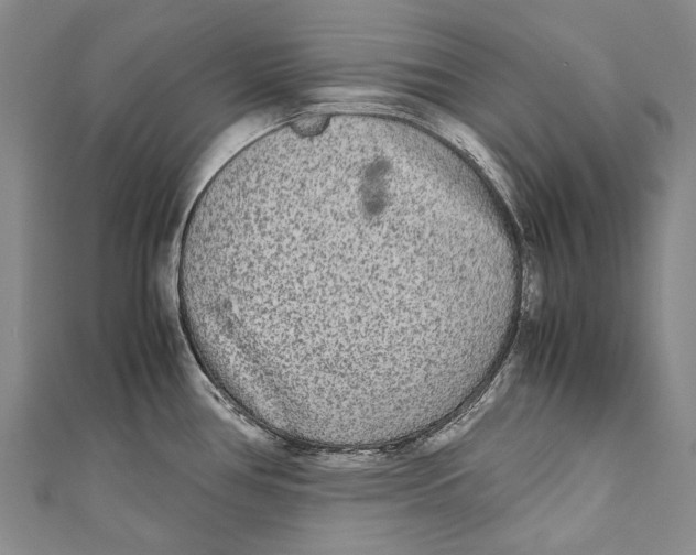 X0000110951386200907101258