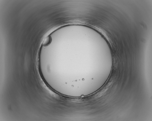 X0000110951387200907101258