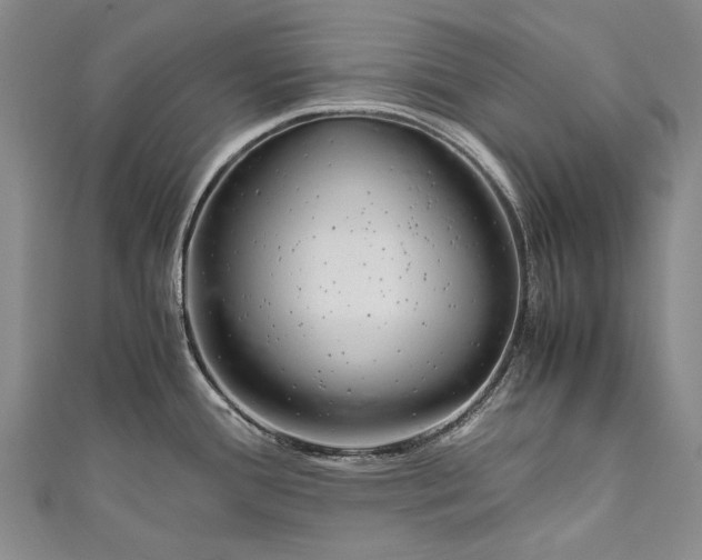 X0000110951388200907101258