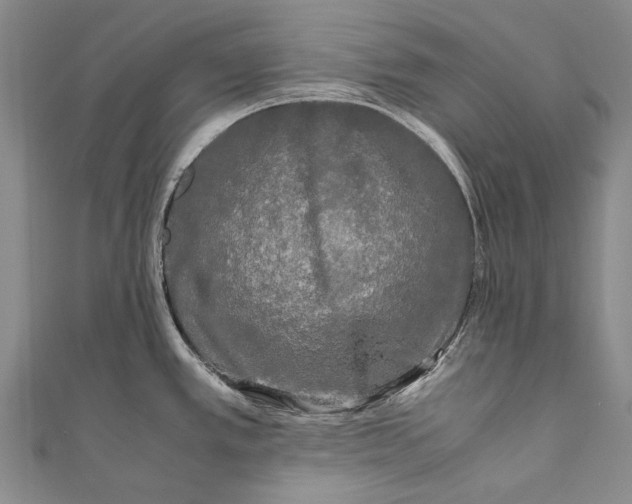 X0000110951389200907101258