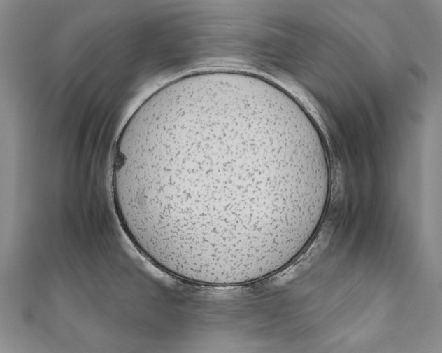 X0000110951390200907101258