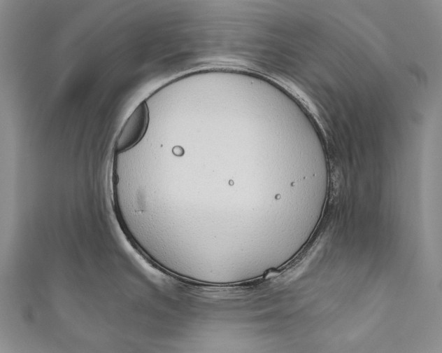 X0000110951391200907101258