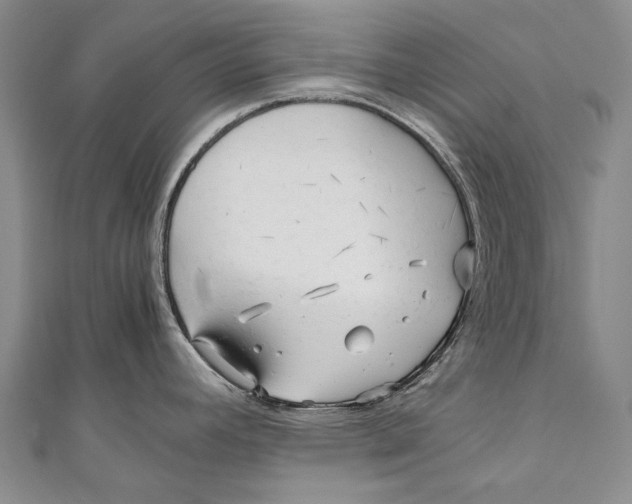 X0000110951392200907101258