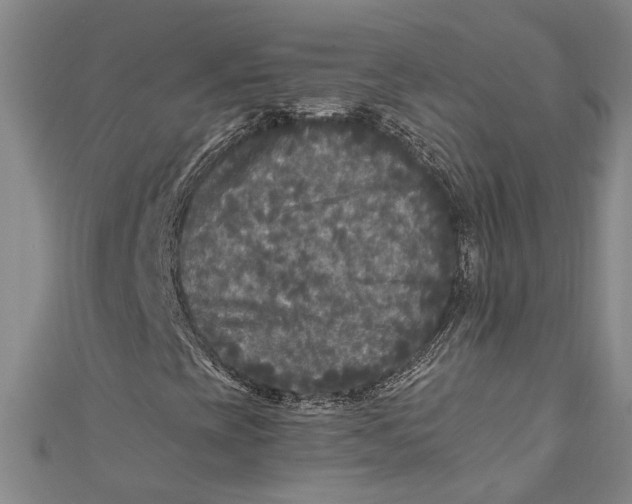 X0000110951393200907101257