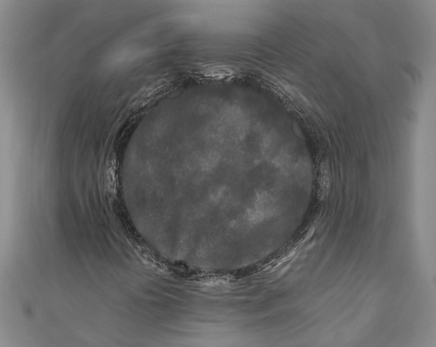 X0000110951394200907101257