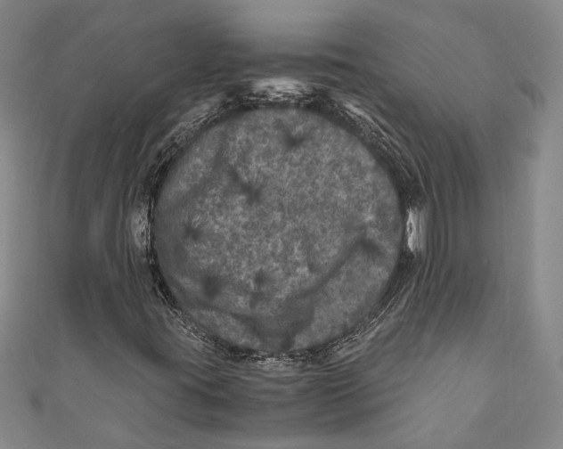 X0000110951395200907101257