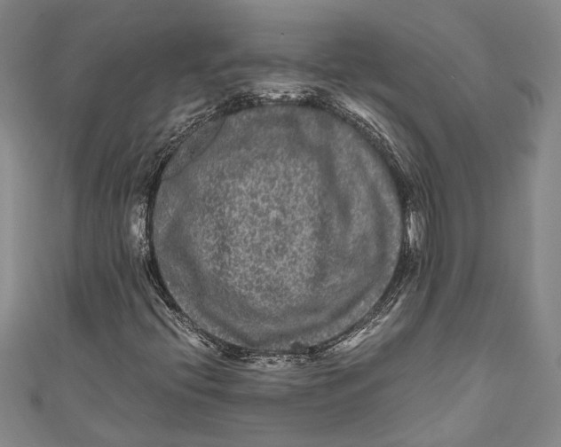 X0000110951396200907101257