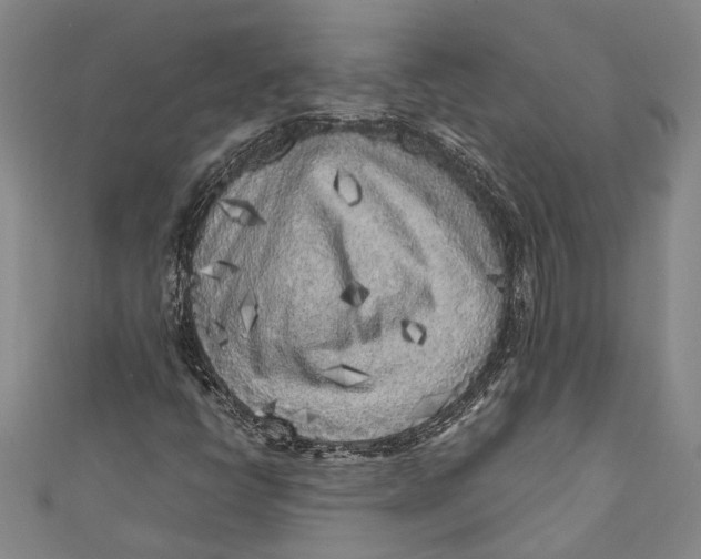 X0000110951398200907101257