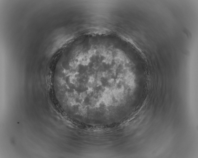 X0000110951399200907101257