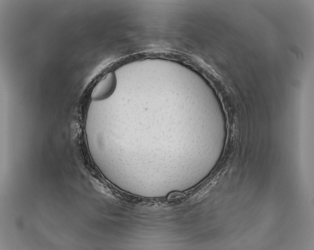 X0000110951400200907101257