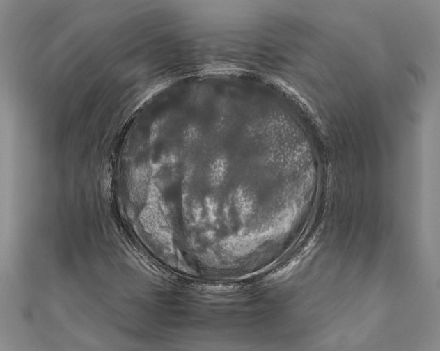 X0000110951401200907101257