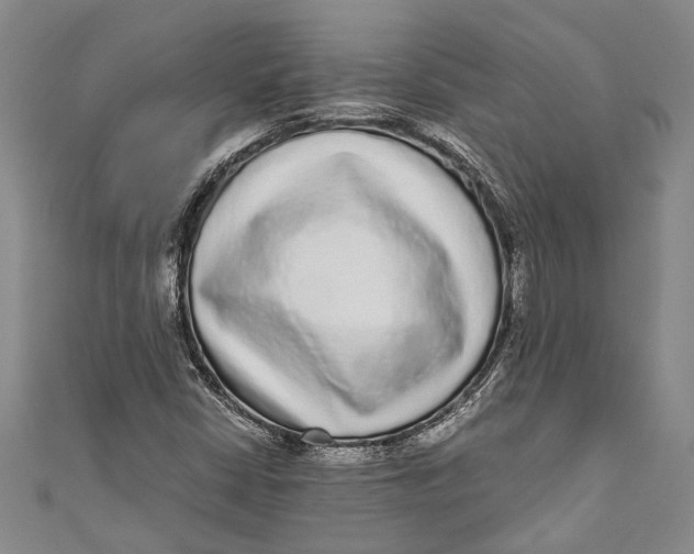 X0000110951402200907101258