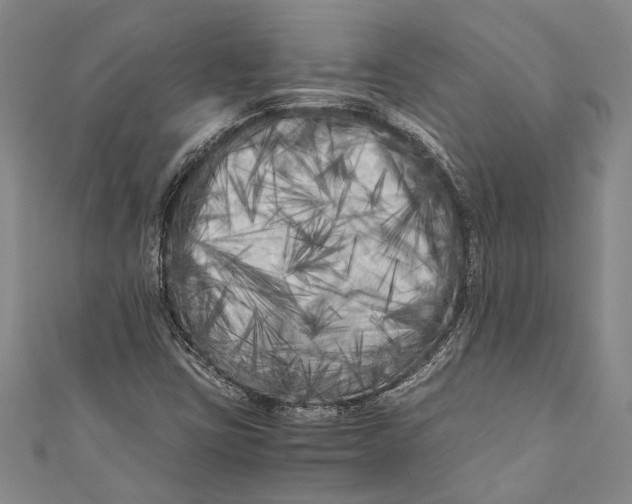 X0000110951403200907101258