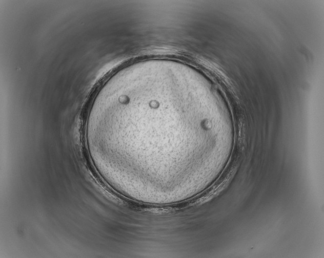 X0000110951404200907101258