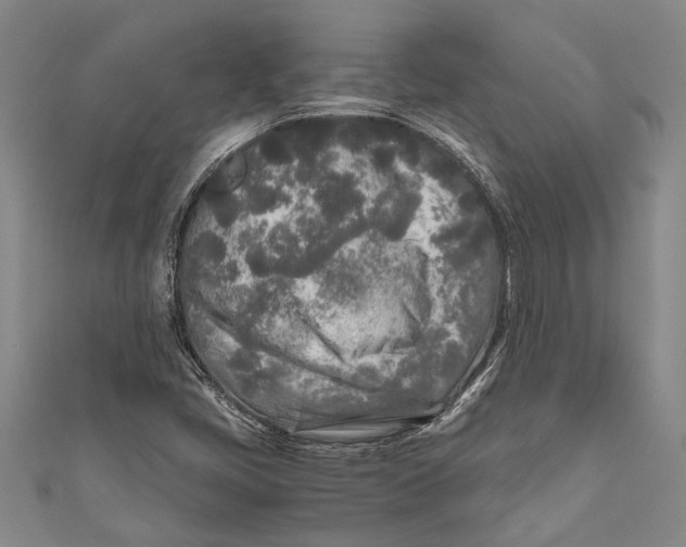 X0000110951405200907101258