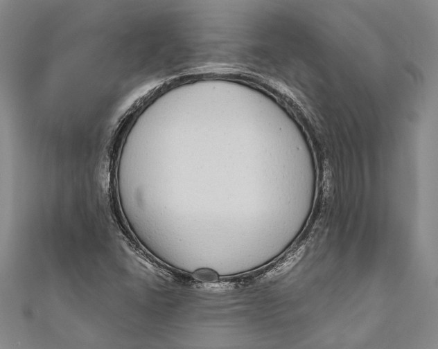 X0000110951406200907101258