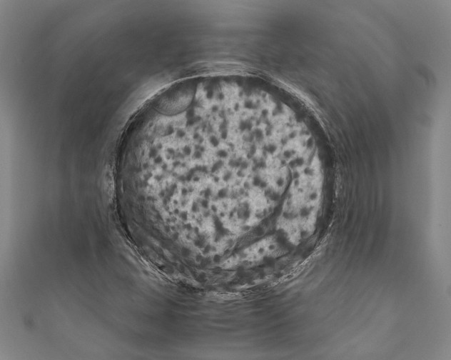 X0000110951407200907101258