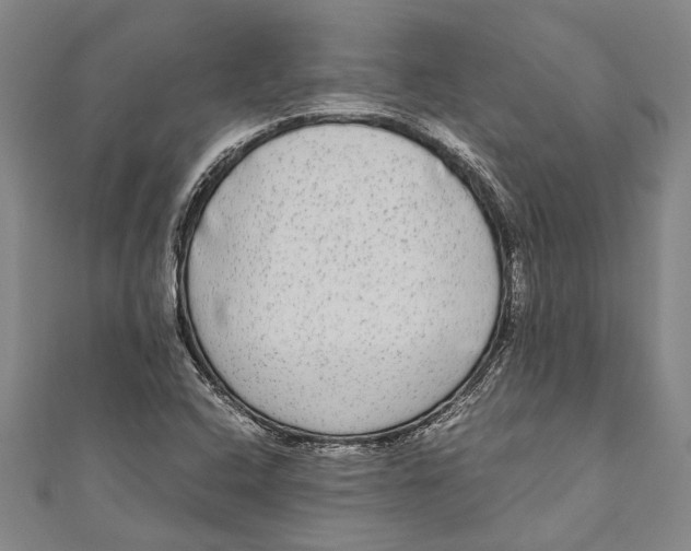 X0000110951408200907101258