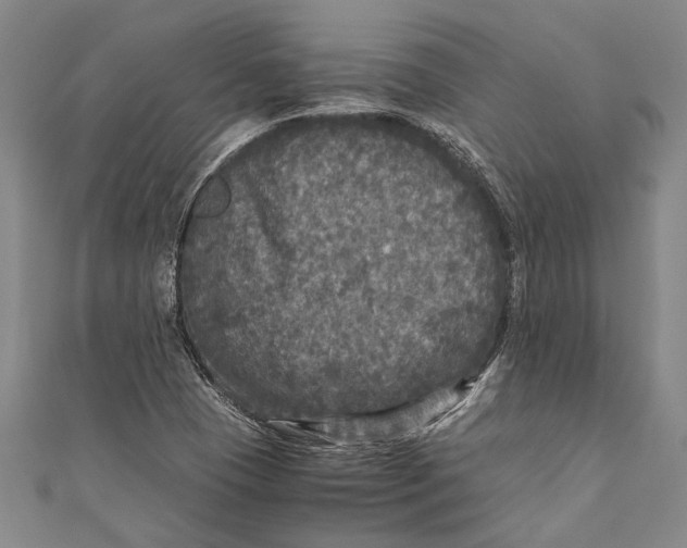 X0000110951409200907101258