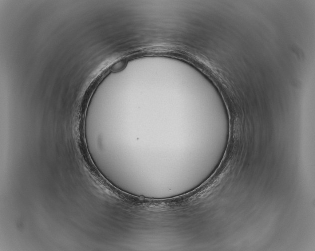 X0000110951410200907101258