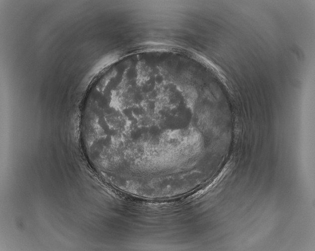 X0000110951411200907101258