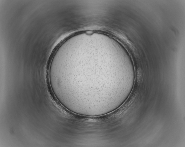 X0000110951412200907101258