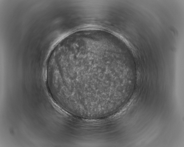 X0000110951413200907101258