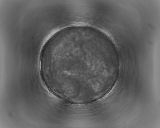 X0000110951414200907101258