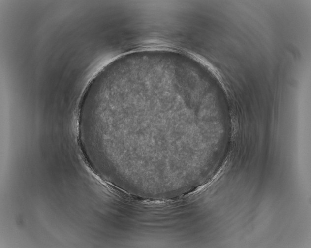 X0000110951415200907101258