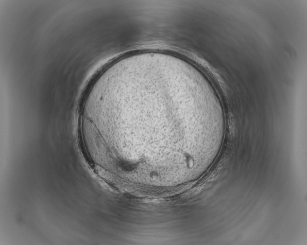 X0000110951416200907101258