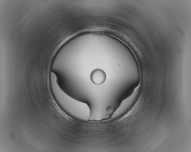 X0000110951417200907101258