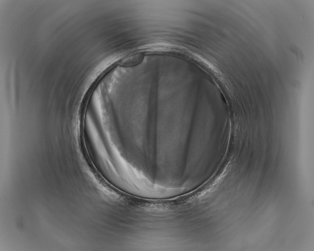 X0000110951418200907101258