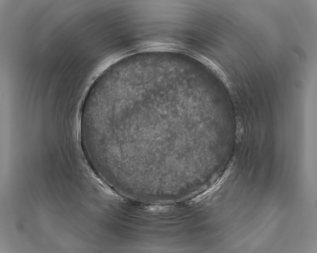 X0000110951419200907101258