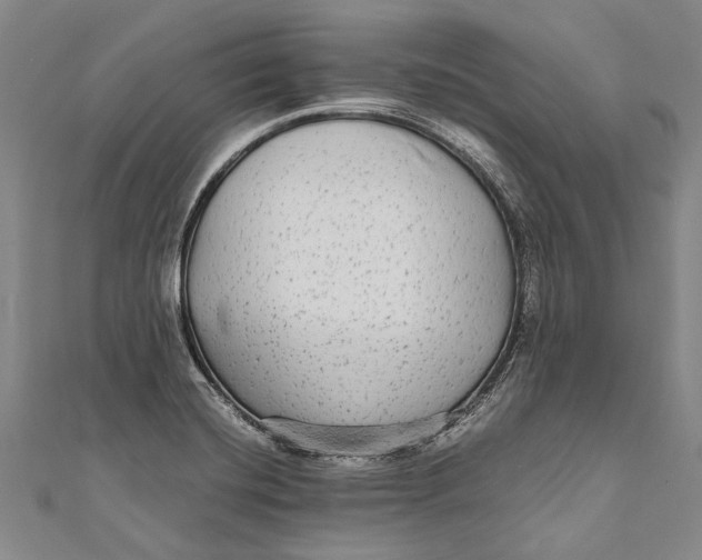 X0000110951420200907101258