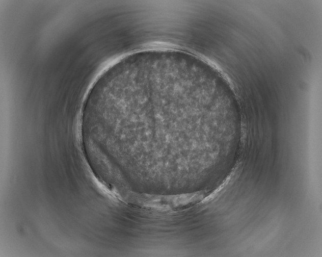 X0000110951421200907101258