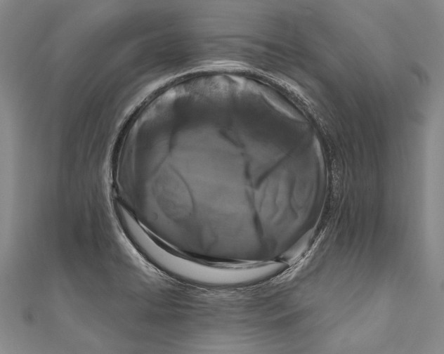 X0000110951422200907101258