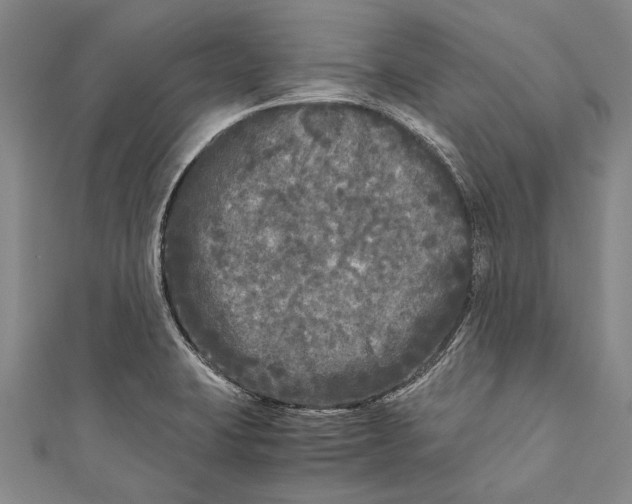 X0000110951423200907101258