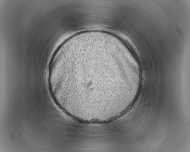 X0000110951424200907101258