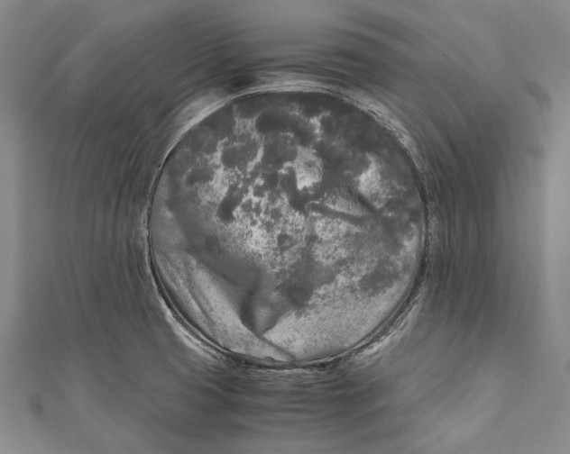 X0000110951425200907101258