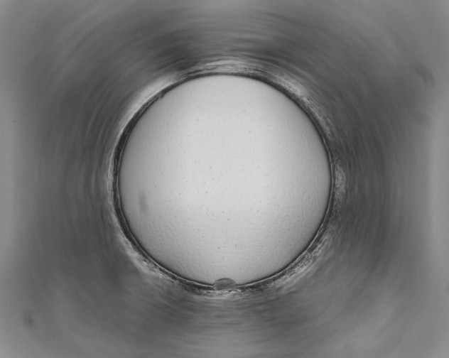 X0000110951426200907101258