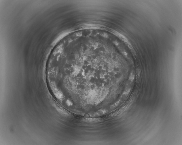 X0000110951427200907101258