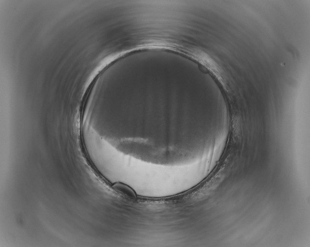 X0000110951428200907101258