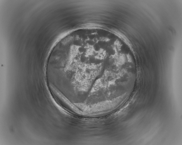 X0000110951429200907101258