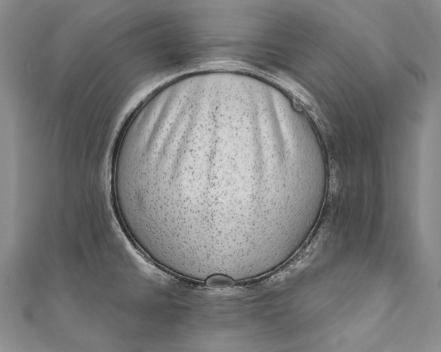 X0000110951430200907101258