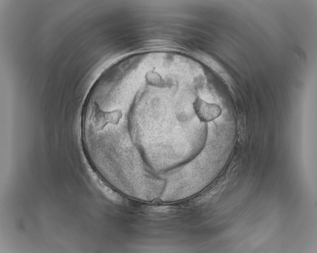 X0000110951431200907101258