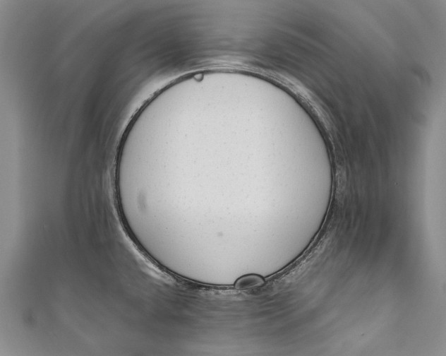 X0000110951432200907101258