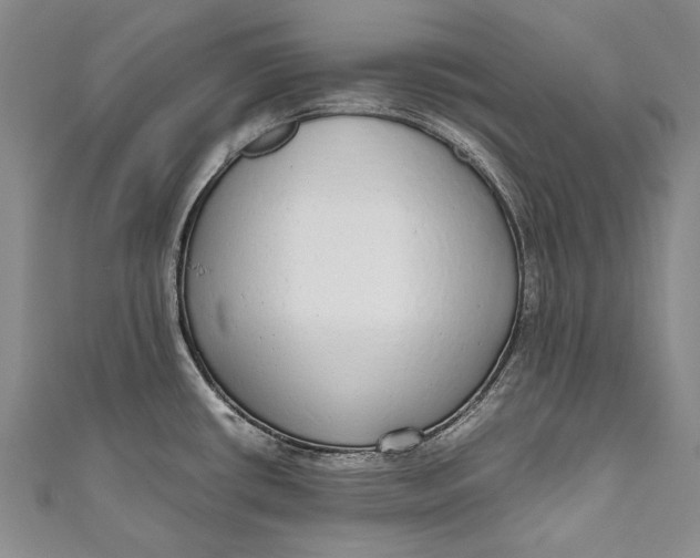 X0000110951434200907101258